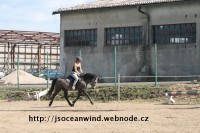 /album/jsoceanwind/a107-2-jpg/